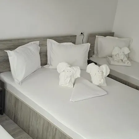 Casa David Constanţa